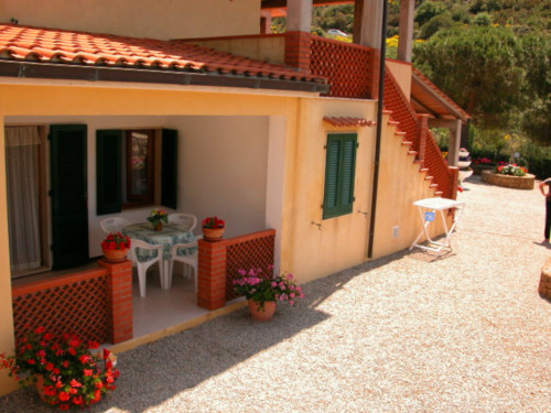 Outdoor veranda garden